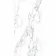 Arabescato White Marble Effect Polished Porcelain Wall and Floor Tile