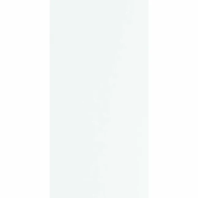 Flat White Gloss Ceramic Wall Tile 250x500