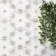 Lylia Taupe Decor Hexagon Matt Wall and Floor Tile