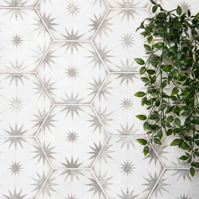 Lylia Taupe Decor Hexagon Matt Wall and Floor Tile