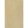 Cedar Multicolour Sandstone Effect Matt Large Porcelain Outdoor Slab Tile