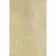  Cedar Multicolour Sandstone Effect Matt Large Porcelain Outdoor Slab Tile