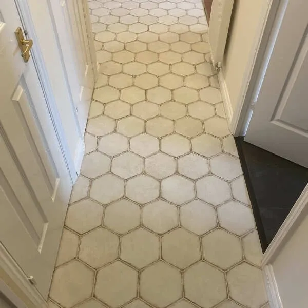 Lylia White Hexagon Matt Wall and Floor Tile