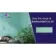 Village Teal Wall Tiles