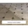 LTP Power Stripper Intensive Tile Cleaner