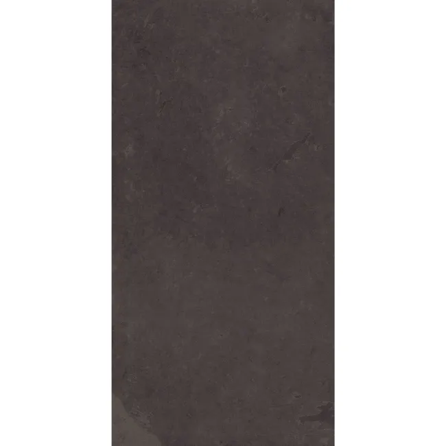 Mustang Black Slate Effect Matt Porcelain Wall and Floor Tile