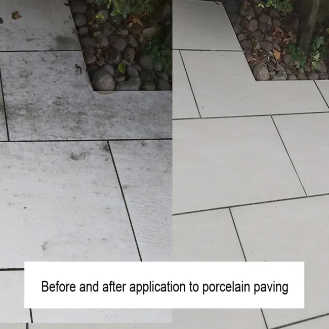 LTP Black Spot & Algae Remover (5 Litre)