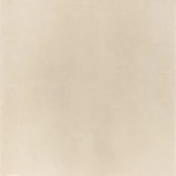 Micron 2.0 M2.0 120AL