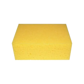 Professional Hydro Sponge