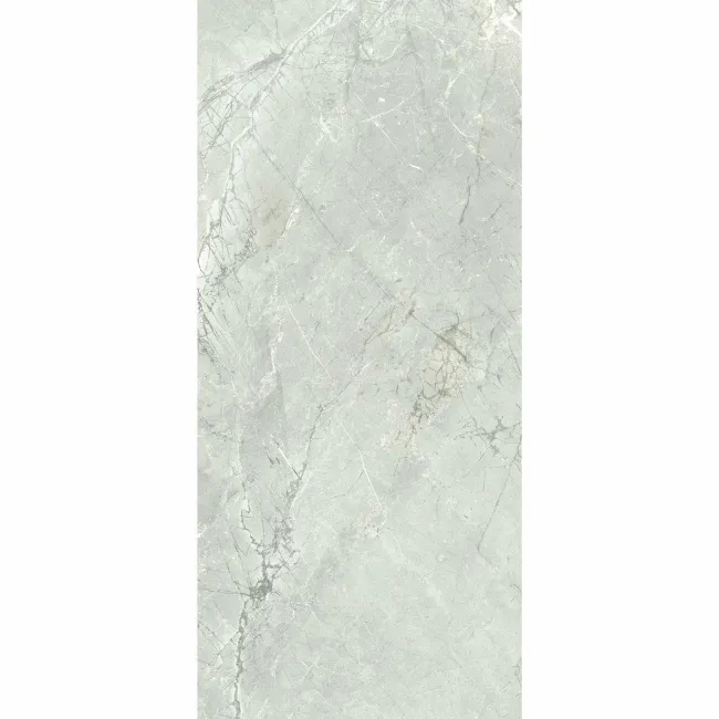 Fior Di Bosco Light Grey Marble Effect Gloss Ceramic Wall Tile