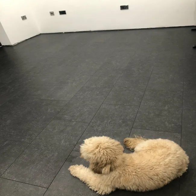 Concrete Effect Anthracite Tile Luxury Click Vinyl Flooring 5mm