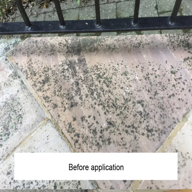 LTP Black Spot & Algae Remover (5 Litre)