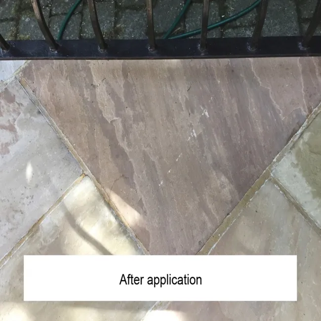 LTP Black Spot & Algae Remover (5 Litre)