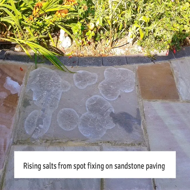 LTP Cement,Grout & Salt Residue Remover (1 Litre)