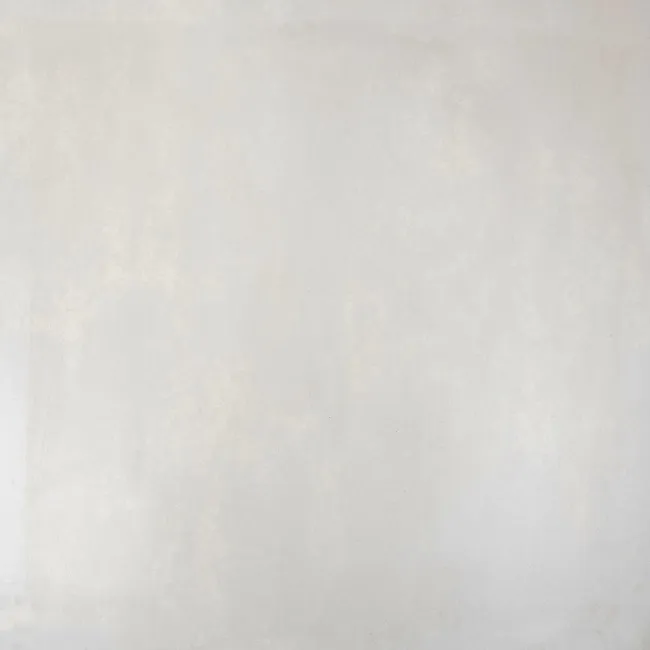 Micron 2.0 M2.0 120GH