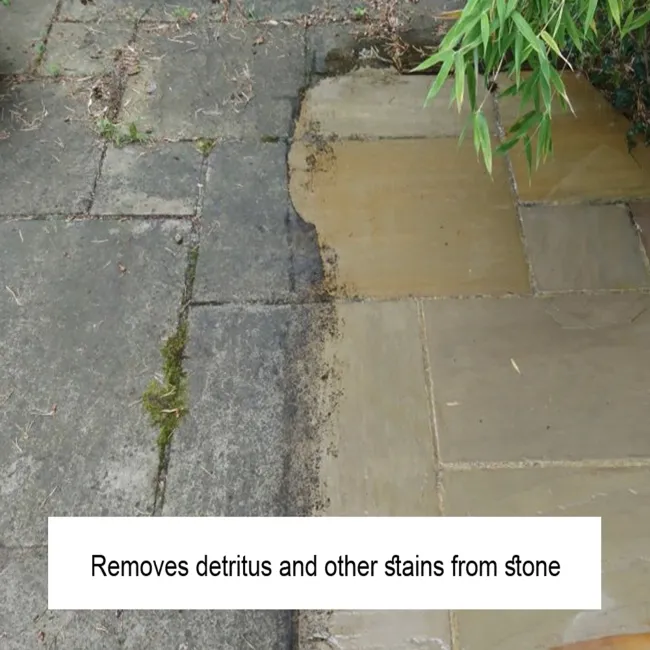 LTP Black Spot & Algae Remover (5 Litre)