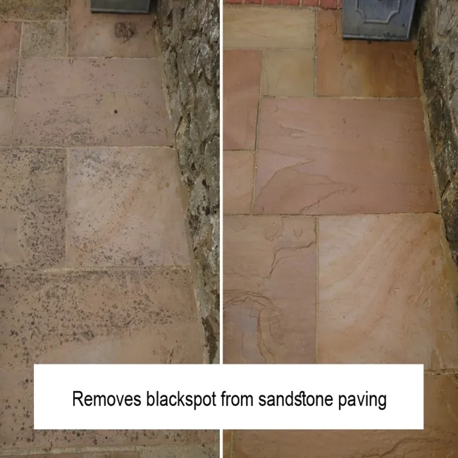 LTP Black Spot & Algae Remover (5 Litre)