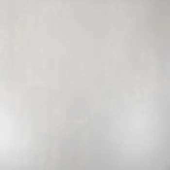 Micron 2.0 M2.0 120GH