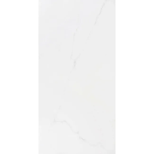 Carrara White Matt Marble Porcelain Wall and Floor Tile