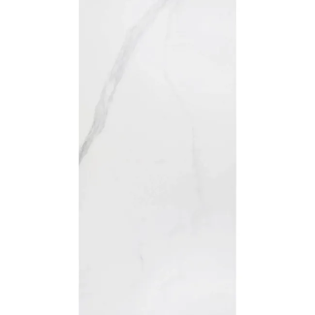 Carrara White Matt Marble Porcelain Wall and Floor Tile