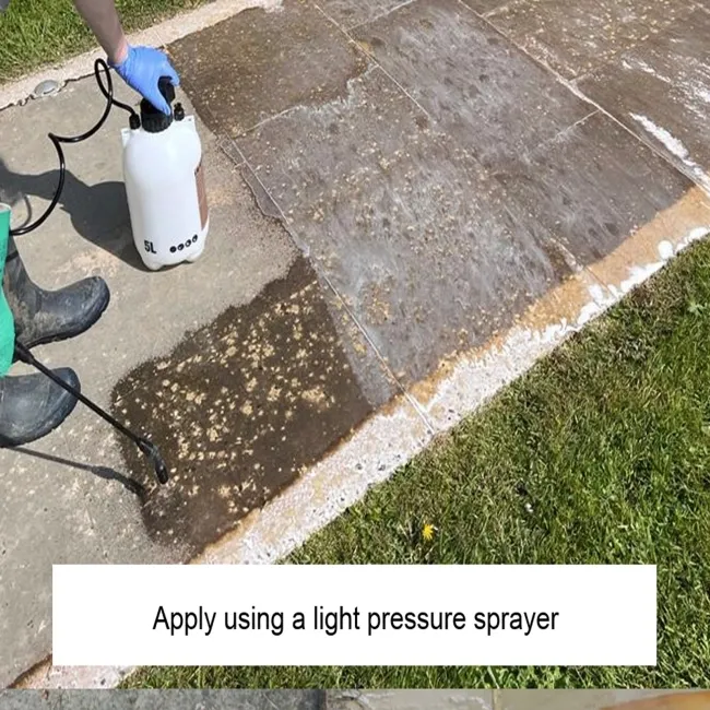 LTP Black Spot & Algae Remover (5 Litre)