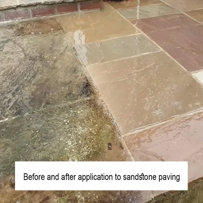 LTP Black Spot & Algae Remover (5 Litre)