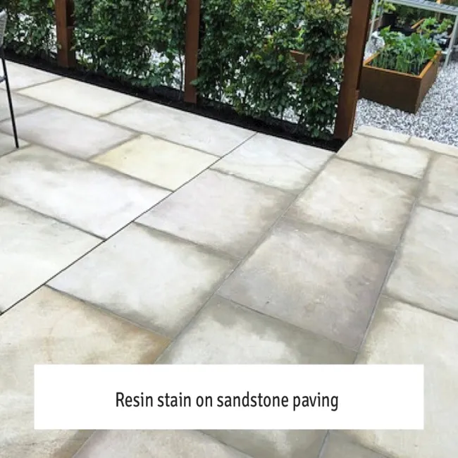 LTP Solvex (1 Litre)