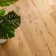 Grande Rustic Oak Engineered Flooring 14mm x 180mm Lacquered