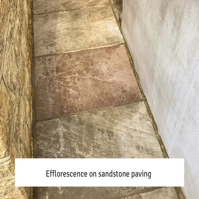 LTP Cement,Grout & Salt Residue Remover (1 Litre)