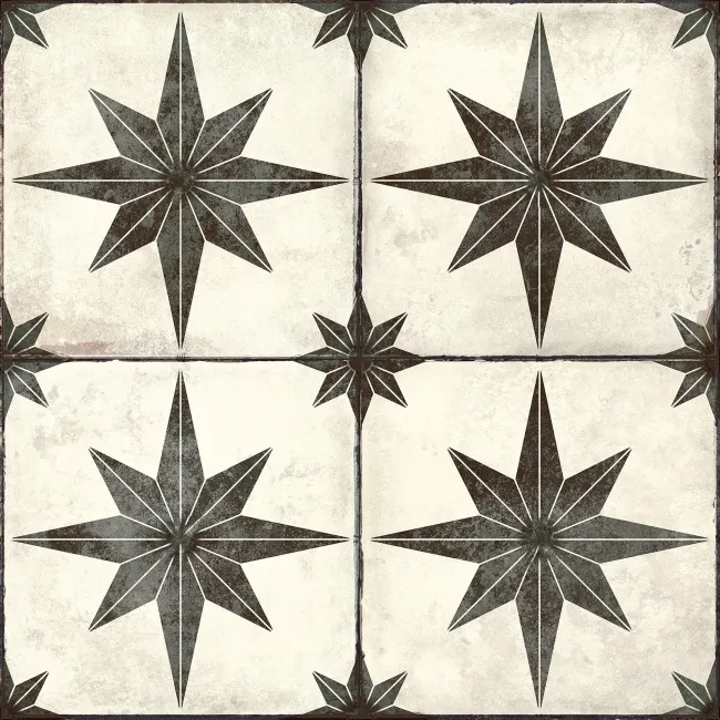 Star Black Patterned Matt Ceramic Floor Tile