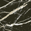Color: Black & Gold