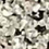 Color: Light Grey
