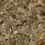 Color: Beige
