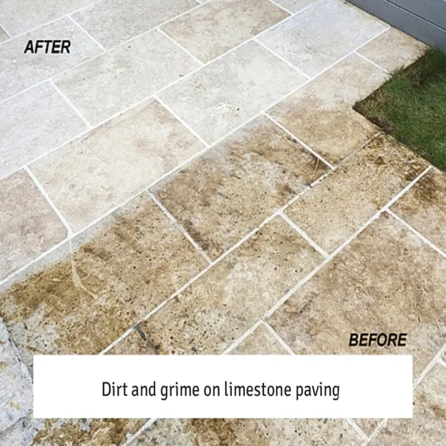 LTP Grimex Heavy Duty Tile Cleaner