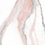 Color: Pink