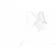 Carrara White Marble Effect Matt Ceramic Wall Tile