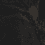 Color: Black