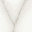 Color: White