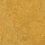 Color: Yellow
