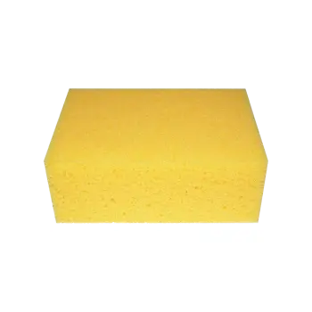 Professional Hydro Sponge