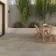 Taxos Taupe Stone Effect Porcelain Outdoor Brick Paving