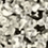 Color: Light Grey