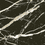 Color: Black & Gold