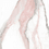 Color: Pink