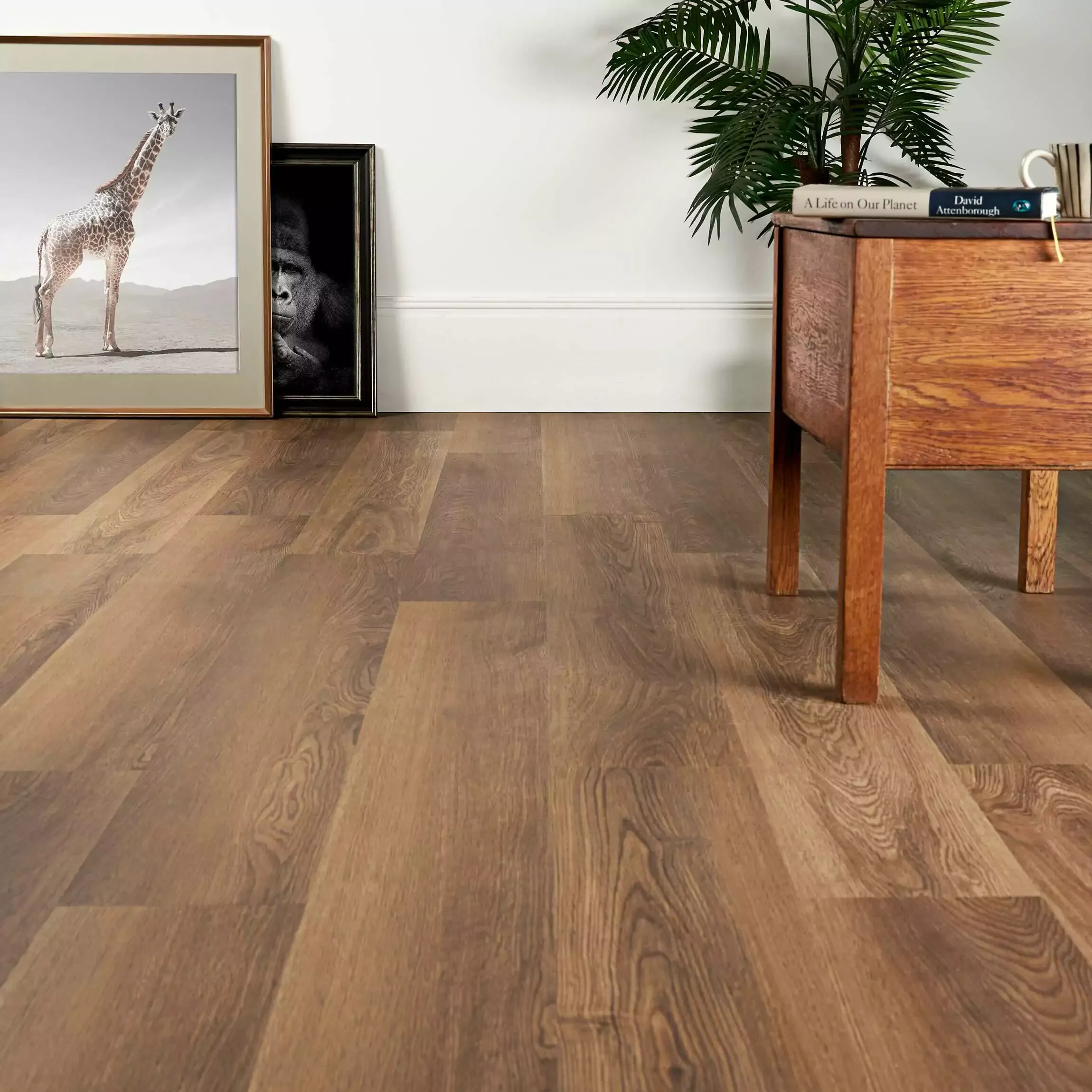 Where to Buy LVT Flooring in the UK: Showrooms, Online or Specialist Retailers