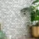 Georgia Oyster Pearl Glass Mosaic