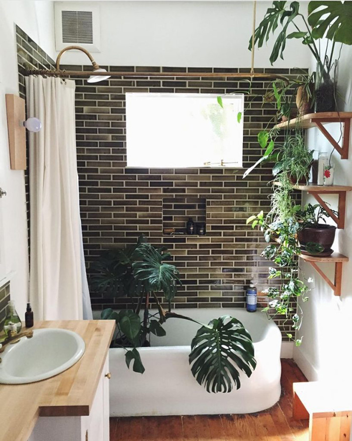 Alea Joy on Instagram Bathroom with Plants