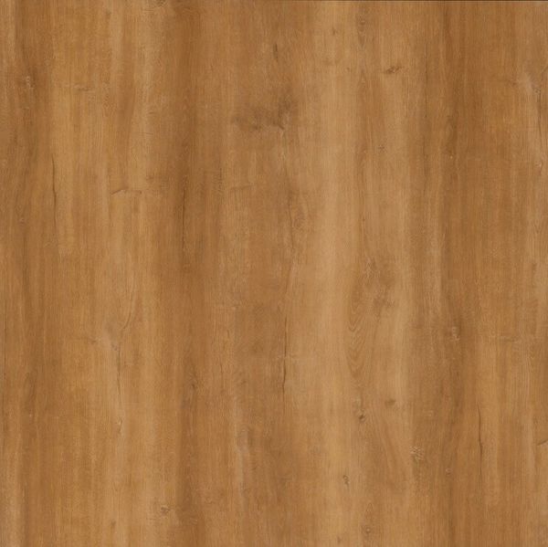 Locus Natural Oak Luxury Glue Down Vinyl Flooring 2.5mm
