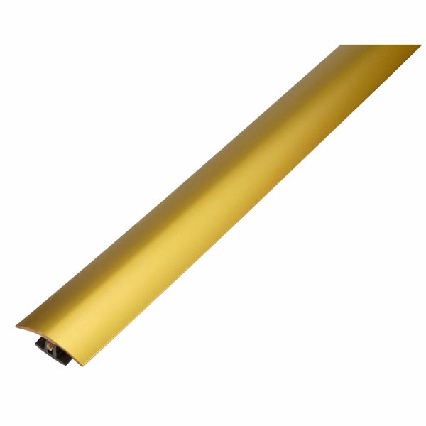 Gold Threshold Strips 38mmx0.9m